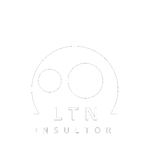 Logo LTN Consultores